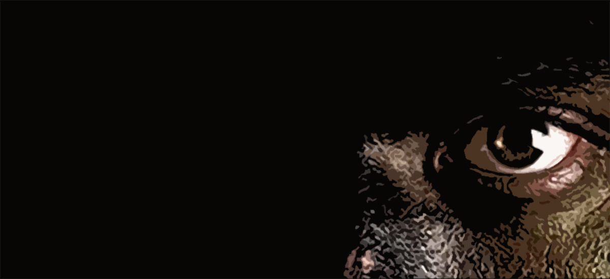 Recensione di Nowaland di Matteo Marchisio