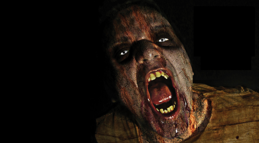 Recensione di Sezione NKZ-68 di Matteo Marchisio